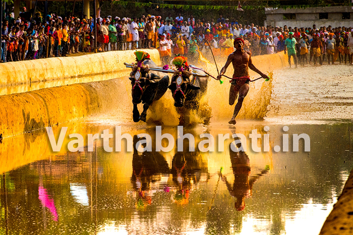 ಮೂಡುಬಿದಿರೆ : ಒಂಟಿಕಟ್ಟೆ ಕೋಟಿ- ಚೆನ್ನಯ ಕಂಬಳ ಫಲಿತಾಂಶ